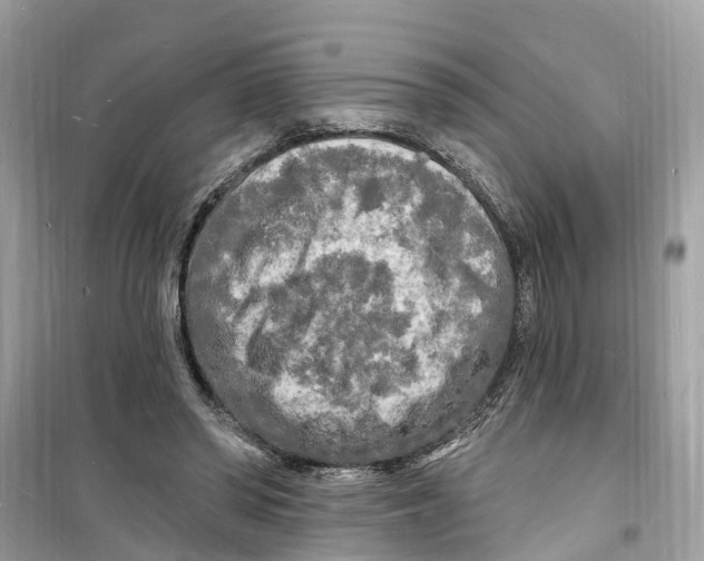 X0000098230398200805221715