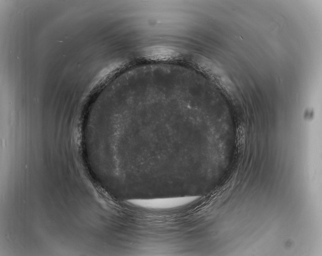 X0000098230400200805221715