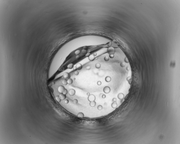 X0000098230401200805221715