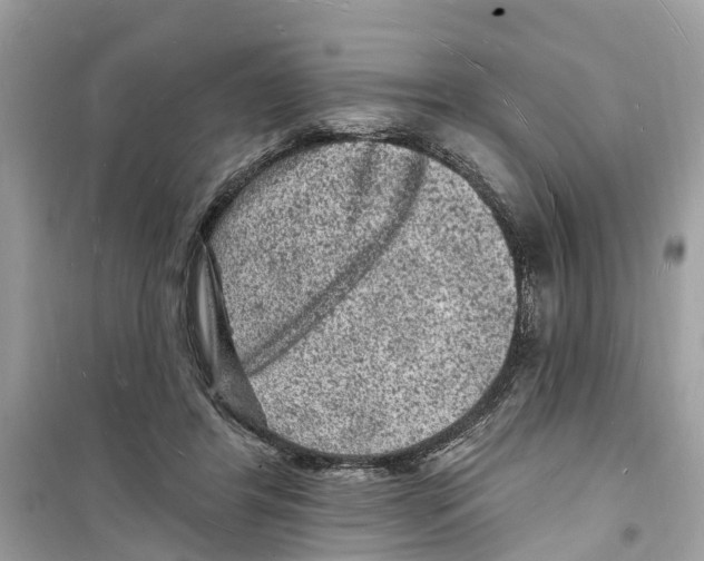 X0000098230404200805221715