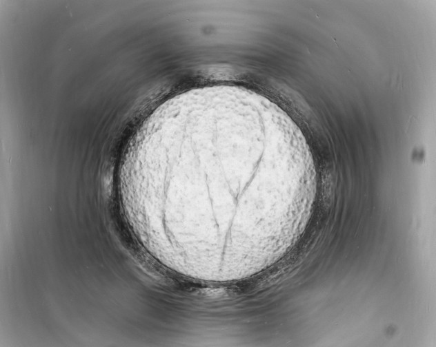 X0000098230406200805221715