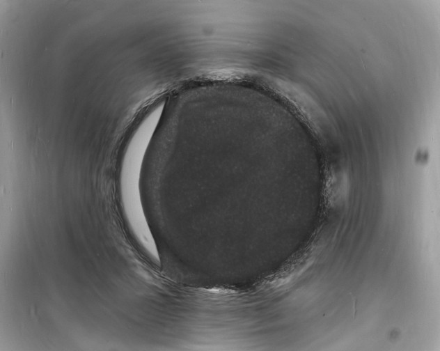 X0000098230407200805221715