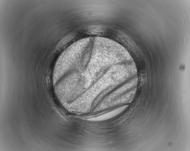 X0000098230408200805221715