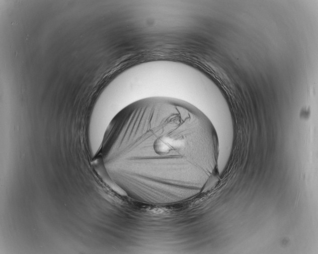 X0000098230409200805221715