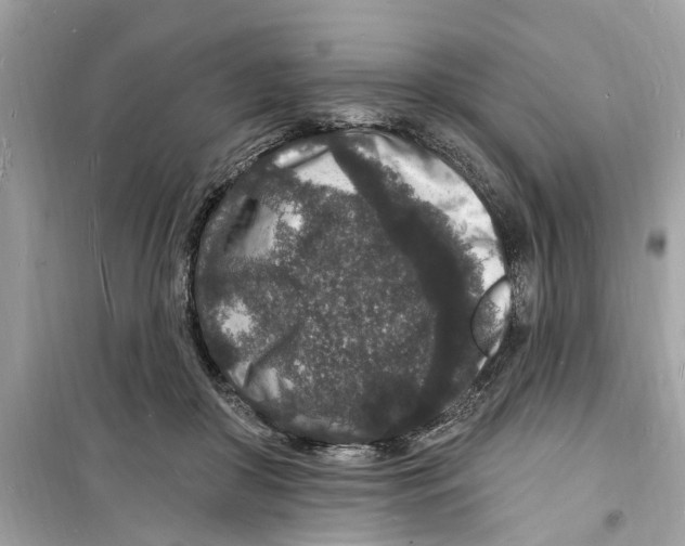 X0000098230410200805221715