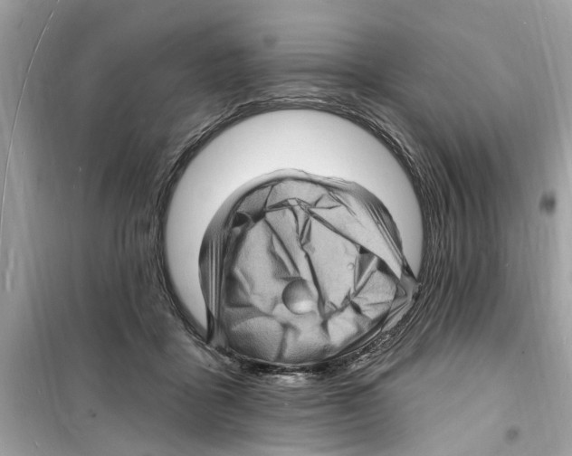 X0000098230411200805221715