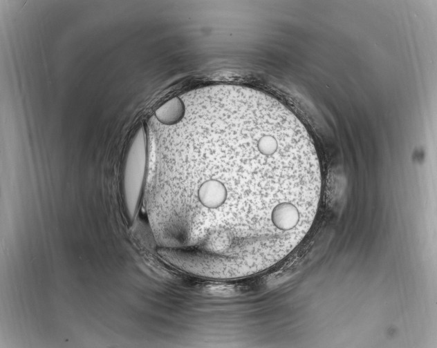 X0000098230413200805221715