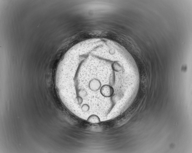 X0000098230416200805221715