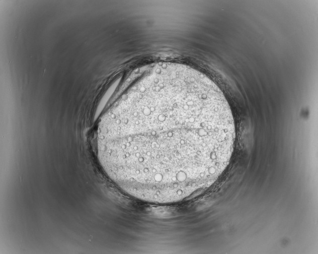 X0000098230417200805221715