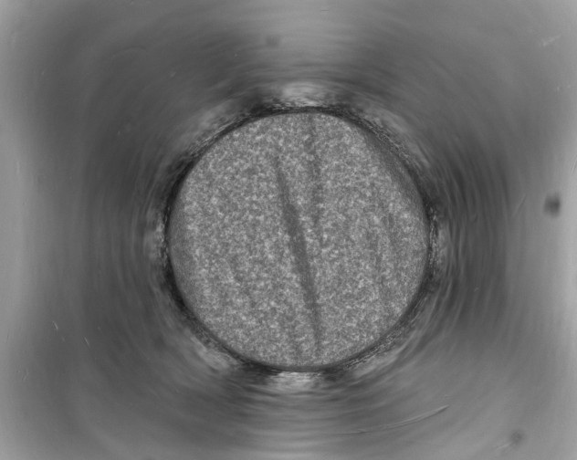 X0000098230418200805221715