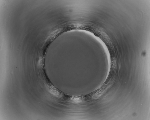 X0000098230419200805221715