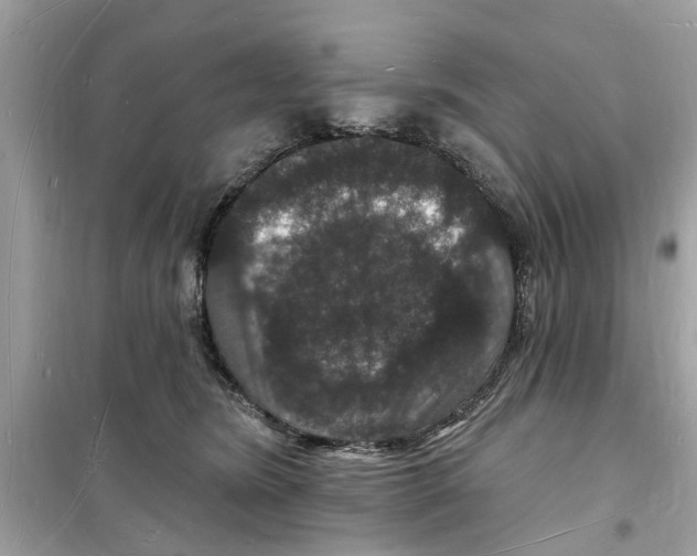 X0000098230420200805221715