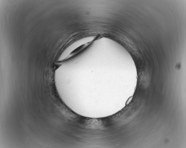 X0000098230421200805221715