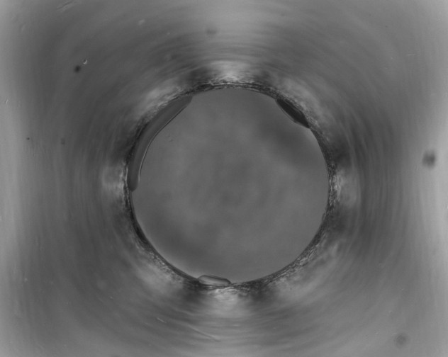 X0000098230423200805221715