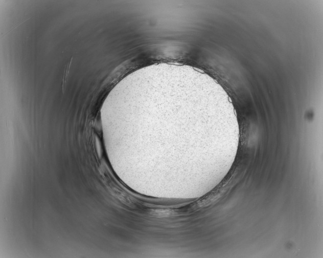 X0000098230425200805221715