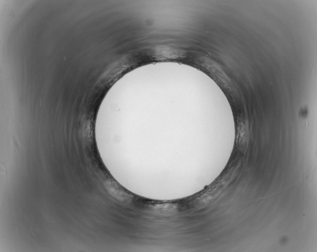 X0000098230426200805221715