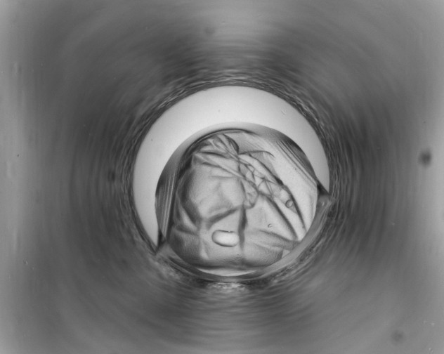 X0000098230427200805221715