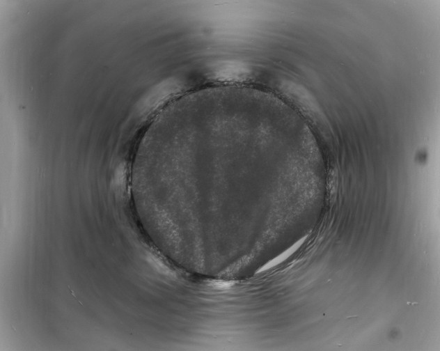 X0000098230428200805221715