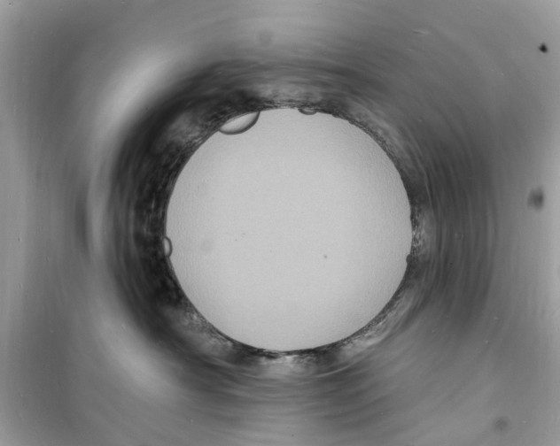 X0000098230430200805221715