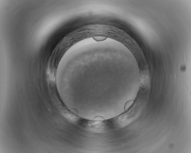 X0000098230431200805221715