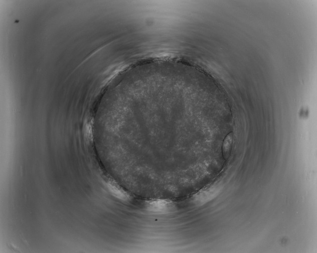 X0000098230432200805221715