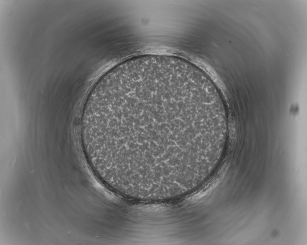 X0000098230433200805221714