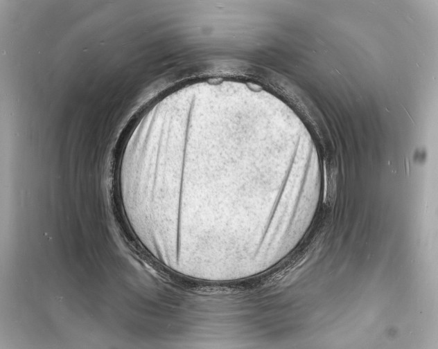 X0000098230435200805221714