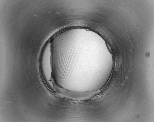 X0000098230436200805221714