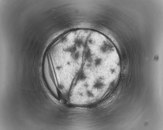 X0000098230437200805221714