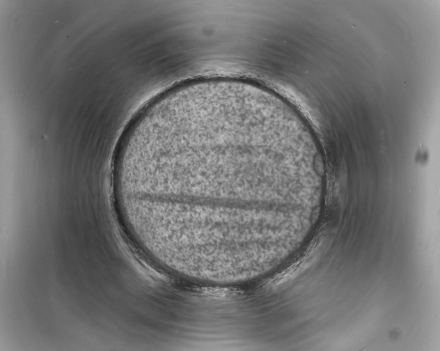 X0000098230439200805221714