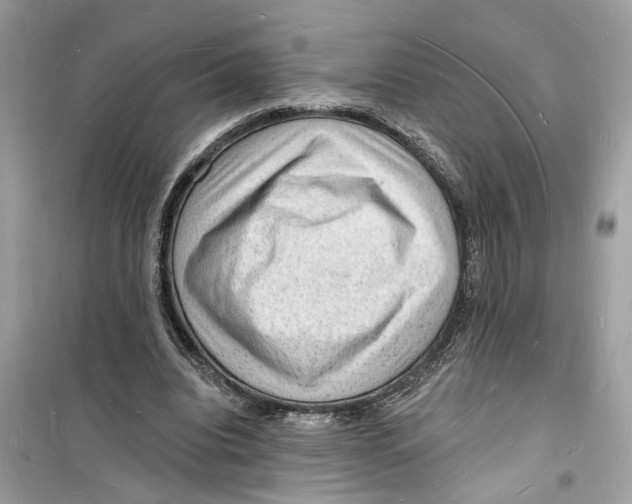 X0000098230440200805221714