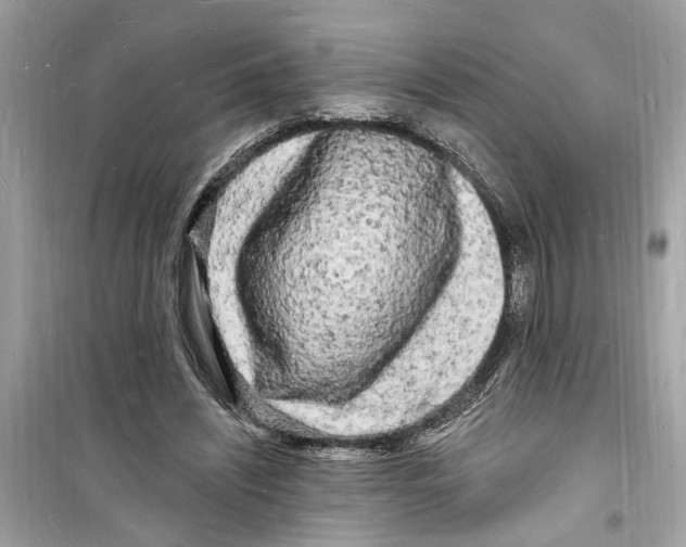 X0000098230444200805221714