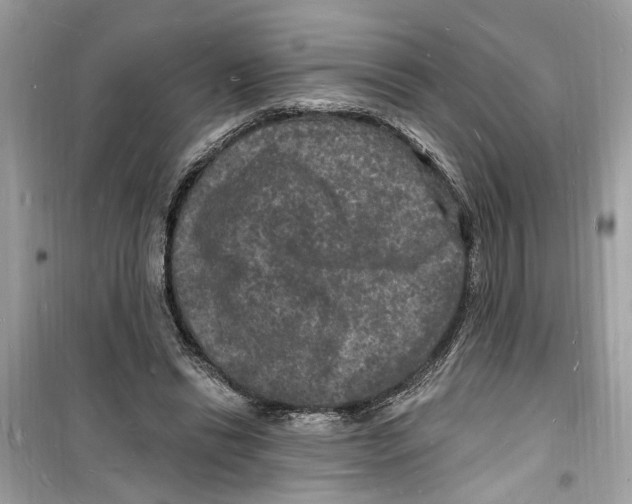 X0000098230446200805221714