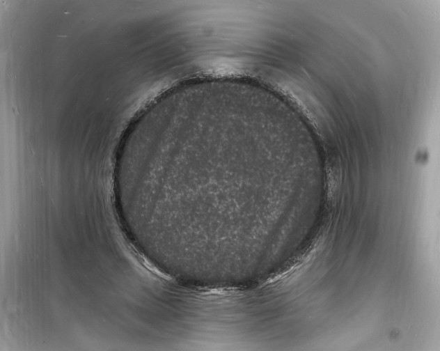 X0000098230447200805221714