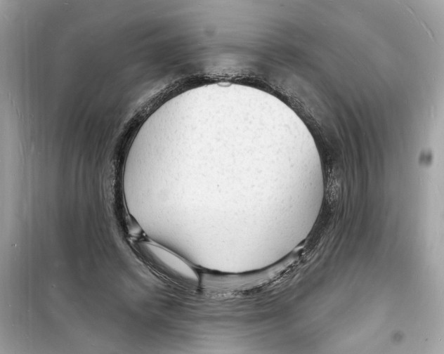 X0000098230448200805221714