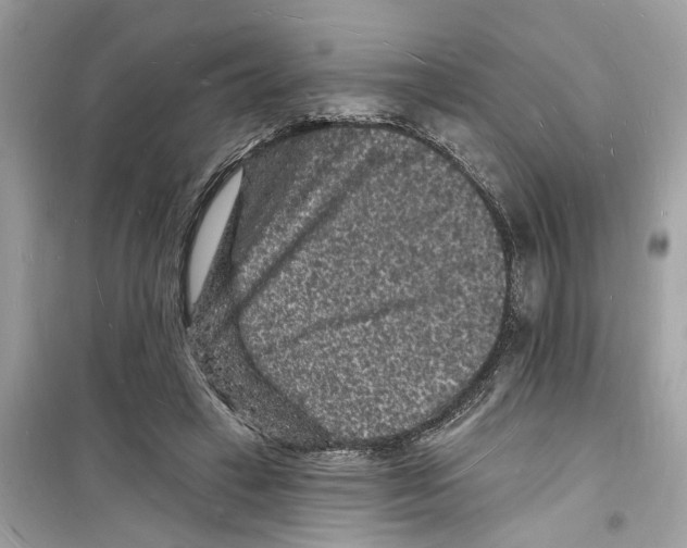 X0000098230449200805221714