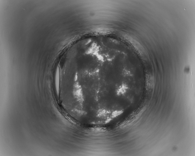 X0000098230451200805221714