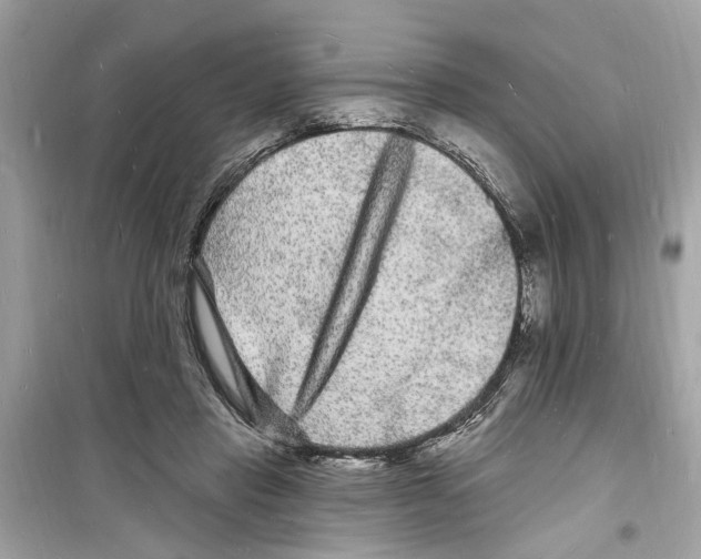 X0000098230453200805221714