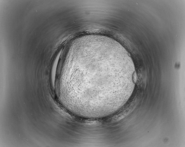 X0000098230454200805221715