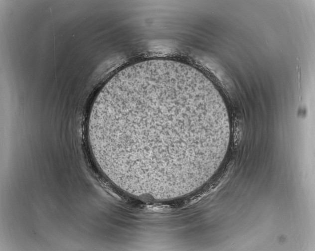 X0000098230455200805221715