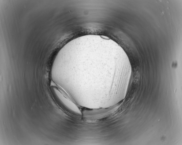 X0000098230456200805221715