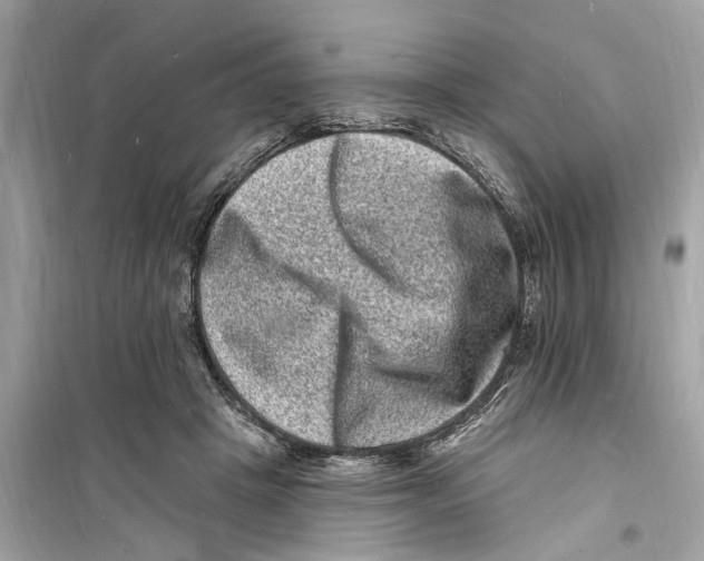 X0000098230457200805221715