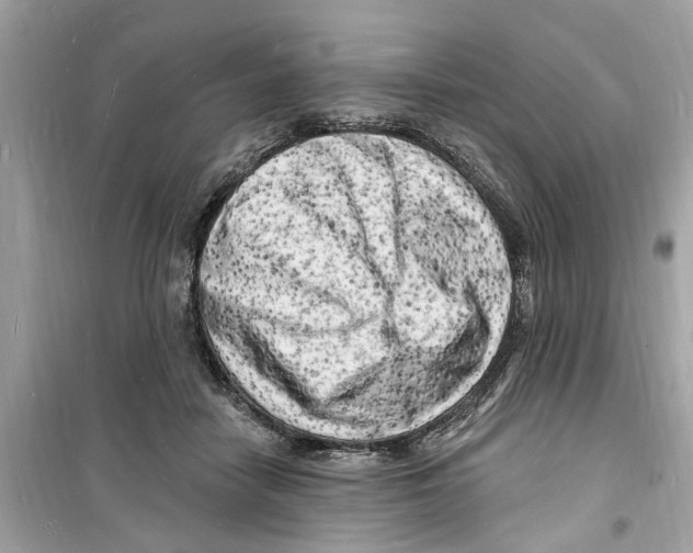 X0000098230458200805221715