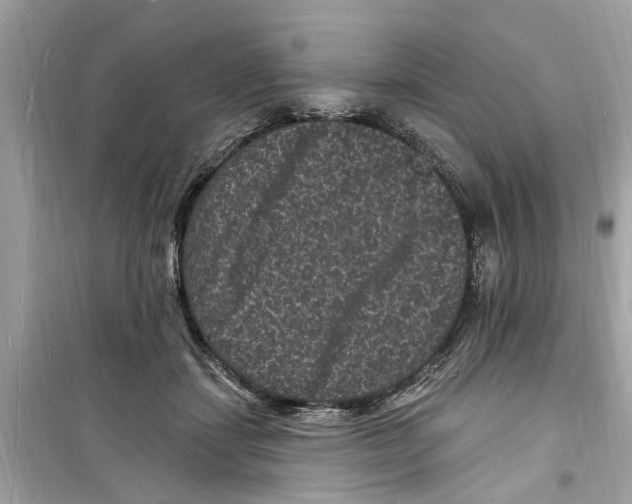 X0000098230459200805221715