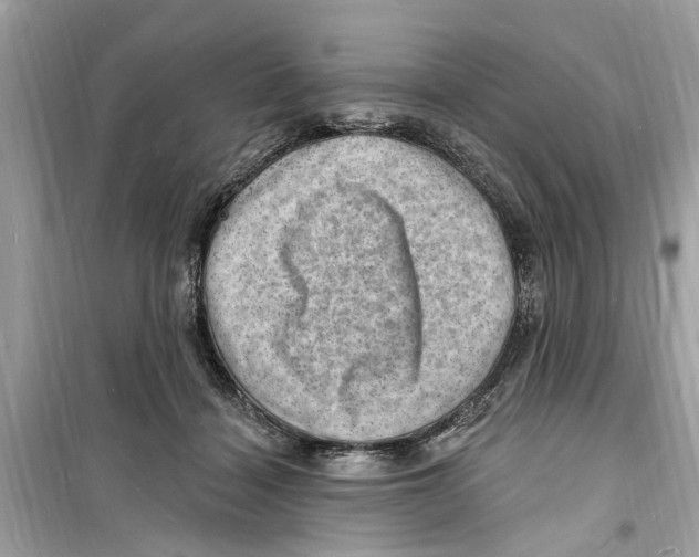 X0000098230460200805221715