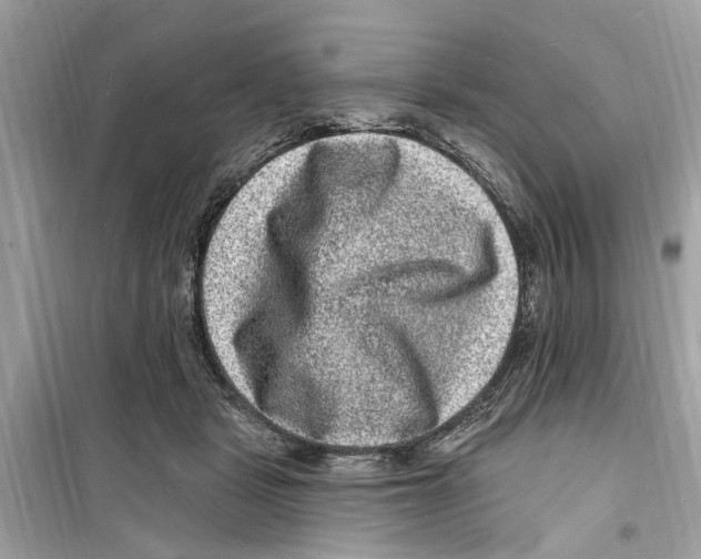 X0000098230461200805221715