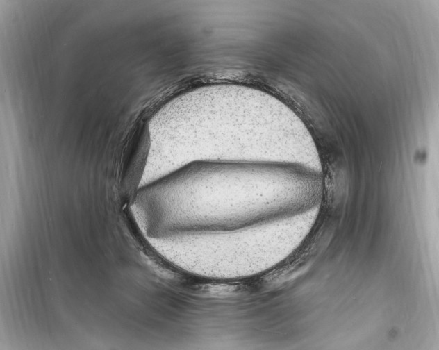 X0000098230462200805221715