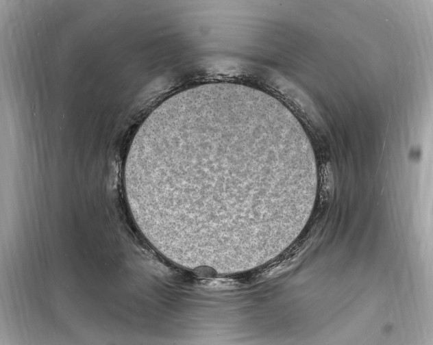 X0000098230463200805221715