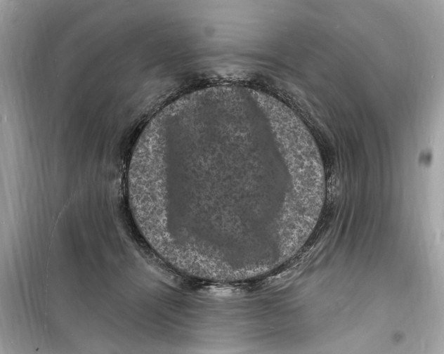 X0000098230464200805221715