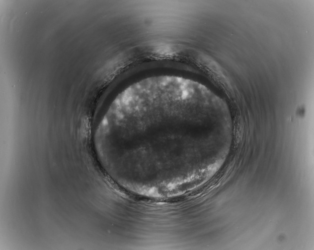 X0000098230467200805221715